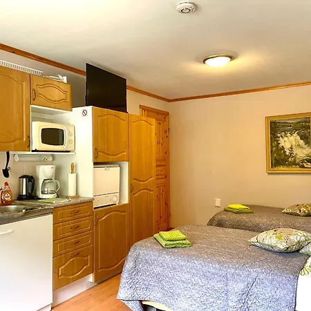 Yli-kaitala Tuuliviiri Savio