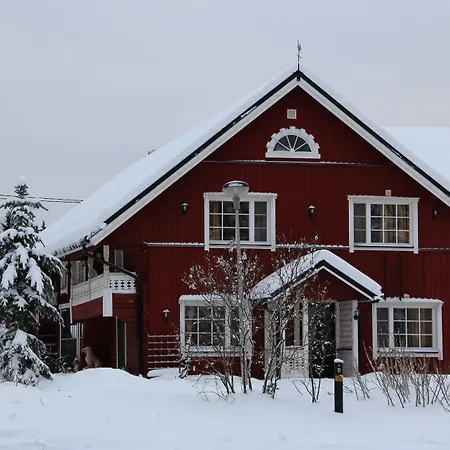 Yli-kaitala Tuuliviiri 3* Savio