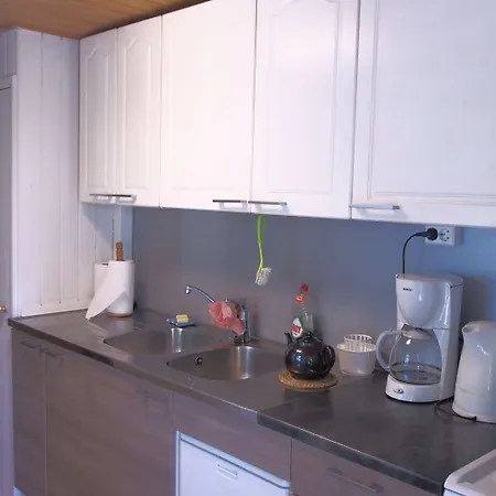 Yli-kaitala Tuuliviiri 3*