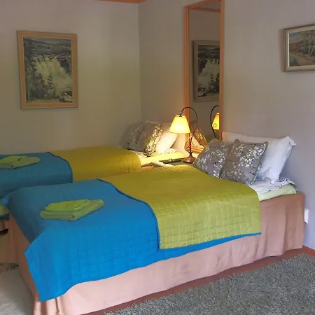 Yli-kaitala Tuuliviiri 3* Savio