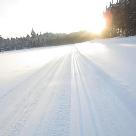 Yli-kaitala Tuuliviiri 3*