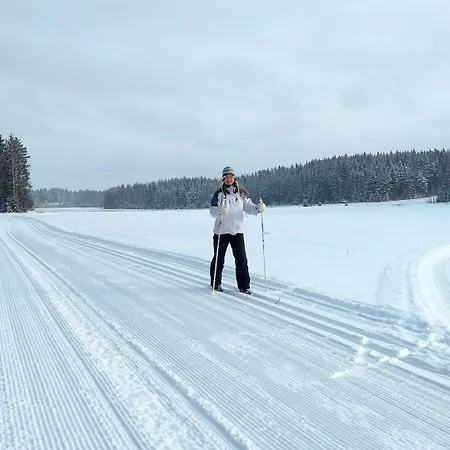 Θέρετρο Yli-kaitala Tuuliviiri Savio